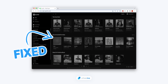 Spotify Web Player Not Working? What To Do?