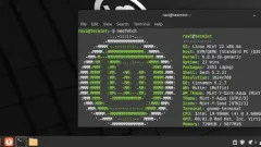Comment passer de Linux Mint 21.3 à Linux Mint 22