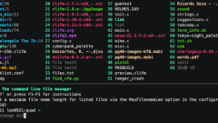 CLIFM - Gestionnaire de fichiers de terminal-rapide à Lightning pour Linux