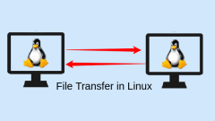 Comment transférer efficacement les fichiers dans Linux