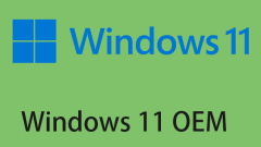 Apa itu Windows 11 OEM? Sekiranya anda membelinya? Bagaimana untuk mendapatkannya? - Minitool
