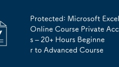 Schutz: Microsoft Excel Online -Kurs privater Zugriff – 20 Stunden Anf?nger zum fortgeschrittenen Kurs