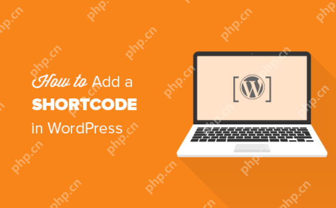 如何在 WordPress 中添加短代码（初学者指南）-小浪学习网