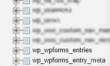 如何在 WordPress 數(shù)據(jù)庫中保存聯(lián)系表單數(shù)據(jù)