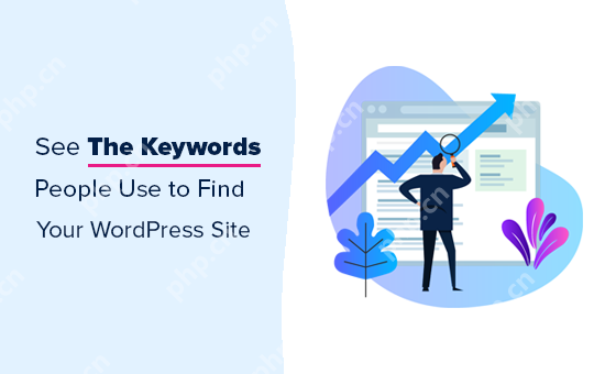 如何在WordPress中有效搜索用户？  第1张