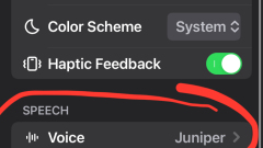 How to Change the Voice of ChatGPT on iPhone, Mac, iPad