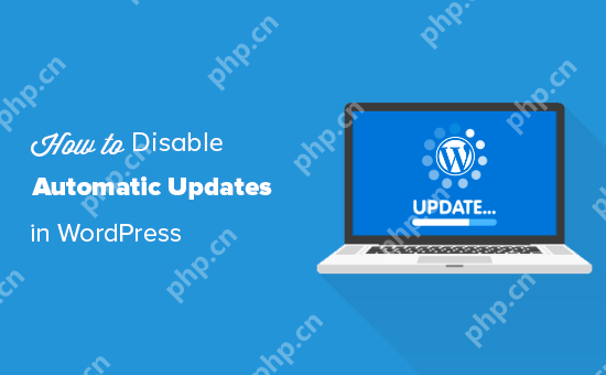 如何禁用 WordPress 中的自動(dòng)更新 - 小浪云數(shù)據(jù)