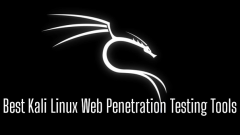 Top 15 des outils de test de stylo Web pour Kali Linux (2024)