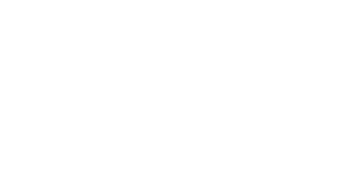 如何允許用戶在 WordPress 登錄屏幕上隱藏/顯示密碼