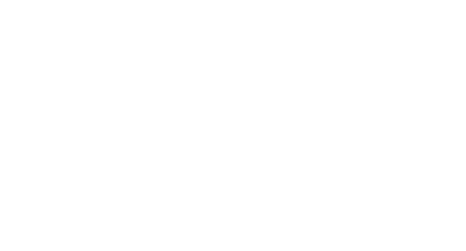 如何允許用戶在 WordPress 登錄屏幕上隱藏/顯示密碼