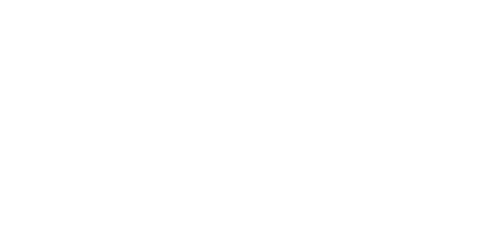 如何允許用戶在 WordPress 登錄屏幕上隱藏/顯示密碼