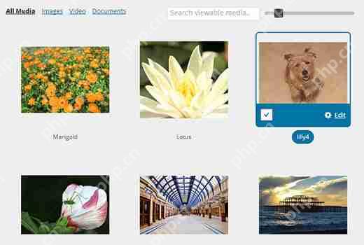 如何在 WordPress 中为媒体库添加网格视图