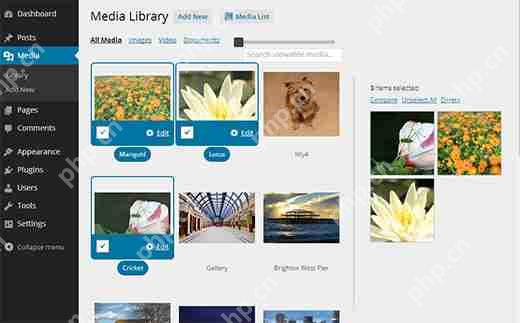 如何在 WordPress 中为媒体库添加网格视图