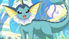 ?? eeveelution ? more? Pokémon Center? ???? ?? ??? Ditto ??