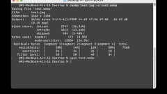 How to Convert Images to Webp on Mac from Command Line