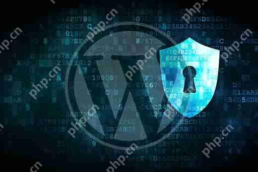 如何強制用戶在 WordPress 中更改密碼 – 使密碼過期