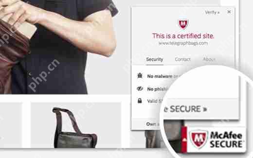 如何將 McAfee SECURE Seal 免費(fèi)添加到您的 WordPress 網(wǎng)站-小浪學(xué)習(xí)網(wǎng)