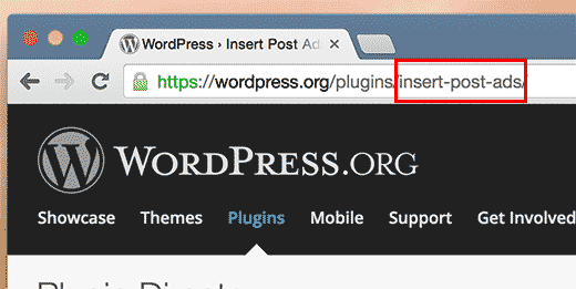 如何在 WordPress 中显示插件和主题信息