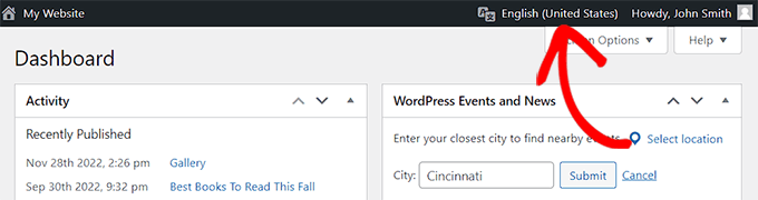 如何在多语言网站上使用英文 WordPress 管理员
