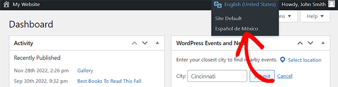 如何在多语言网站上使用英文 WordPress 管理员