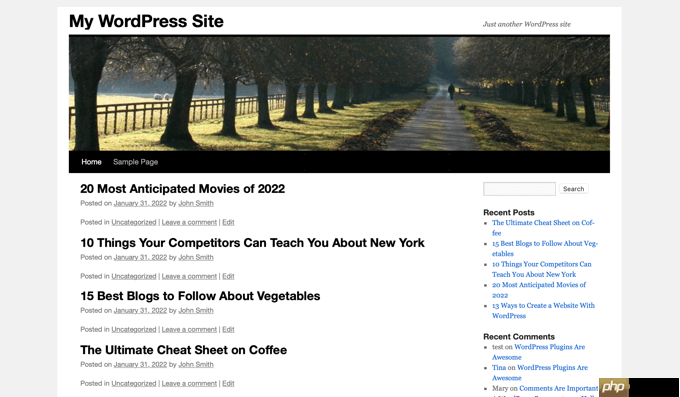 如何在 WordPress 中批量添加帖子和页面（最佳方法）