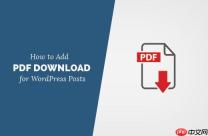 如何在 WordPress 中为帖子添加 PDF 下载