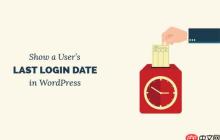 如何在 WordPress 中显示用户的上次登录日期