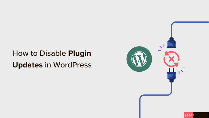 如何在 WordPress 中禁用插件更新以及为什么不应该这样做-小浪学习网