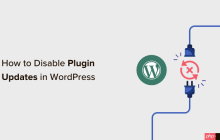 如何在 WordPress 中禁用插件更新以及为什么不应该这样做