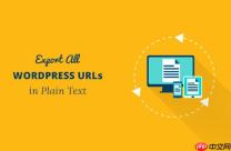 如何以纯文本格式导出所有 WordPress URL