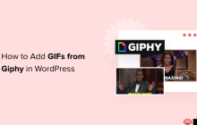如何在 WordPress 中从 Giphy 添加 GIF（2 种方法）
