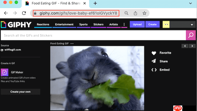 如何在 WordPress 中从 Giphy 添加 GIF（2 种方法）