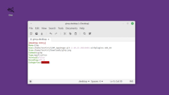 How to Create a Desktop Launchers in Linux