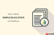 如何在 WordPress 网站上显示简单的博客统计信息