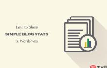 如何在 WordPress 网站上显示简单的博客统计信息