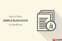 如何在 WordPress 网站上显示简单的博客统计信息