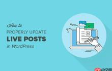 如何正确更新 WordPress 中实时发布的帖子