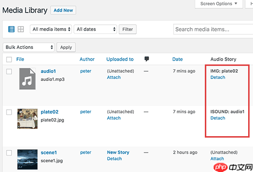 如何在 WordPress 中将音频故事添加到图像中
