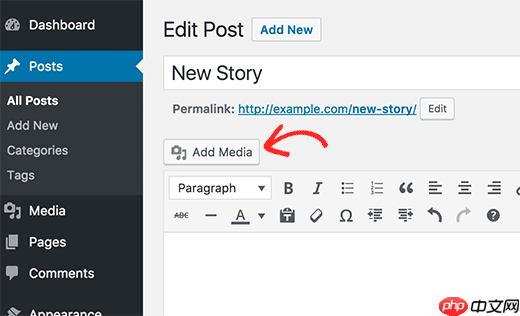 如何在 WordPress 中将音频故事添加到图像中