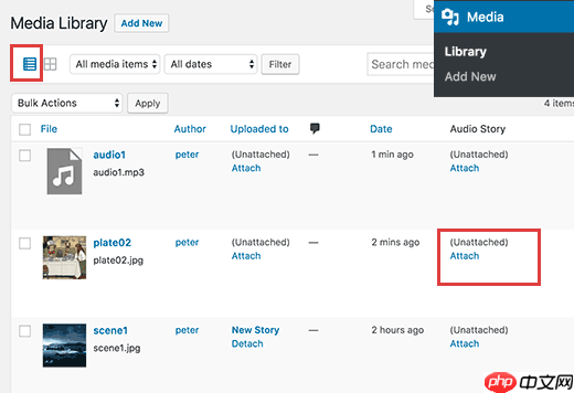 如何在 WordPress 中将音频故事添加到图像中