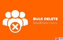 如何批量删除具有特定角色的 WordPress 用户