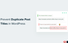 如何防止 WordPress 中出现重复的帖子标题