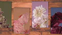 How to Get Google's New Live Bloom Wallpapers on Your Pixel