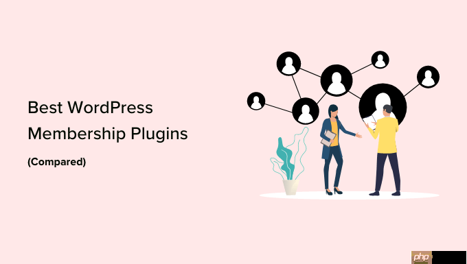 5 個最佳 WordPress 會員插件（比較）——2023 年-小浪學習網