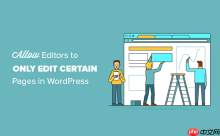 如何允许编辑者仅编辑 WordPress 中的某些页面