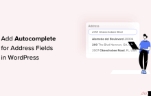 如何在 WordPress 中添加地址字段自动完成功能