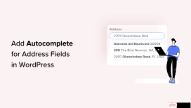 如何在 WordPress 中添加地址字段自动完成功能