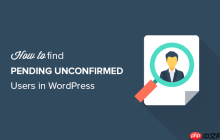 如何在 WordPress 中查找待确认的用户