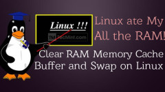 Cara Mengosongkan Cache Memori RAM, Penampan, dan Tukar pada Linux