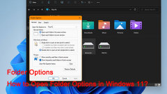 Universal Ways to Open Folder Options in Windows 11